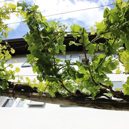 Weingut Pardellerhof Villa Marlengo Exterior foto