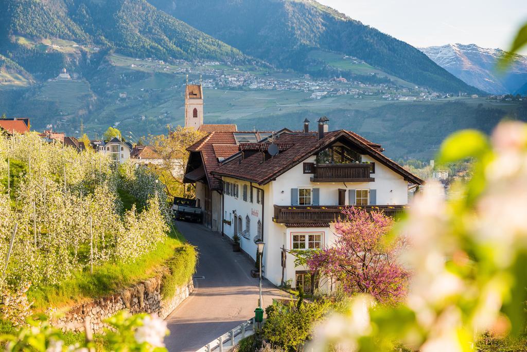 Weingut Pardellerhof Villa Marlengo Exterior foto