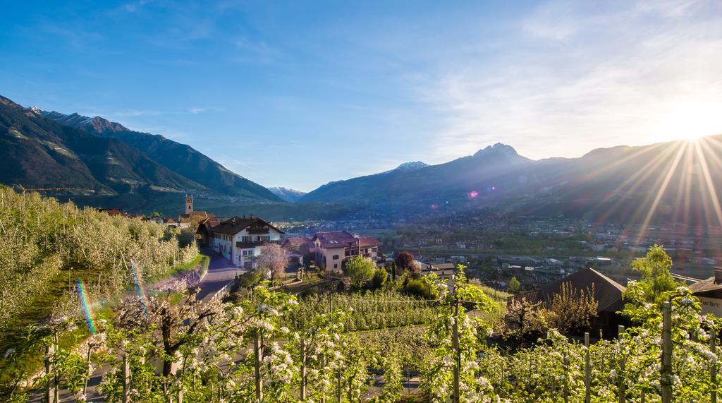Weingut Pardellerhof Villa Marlengo Exterior foto